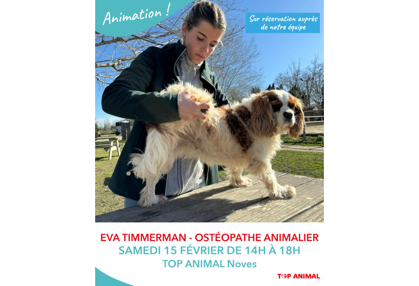 ANIMATION OSTEOPATHIE ANIMALE